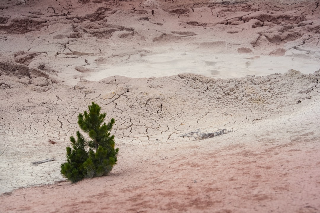 Passport Guide for Grover, WY: Apply, Renew, Kemmerer Locations