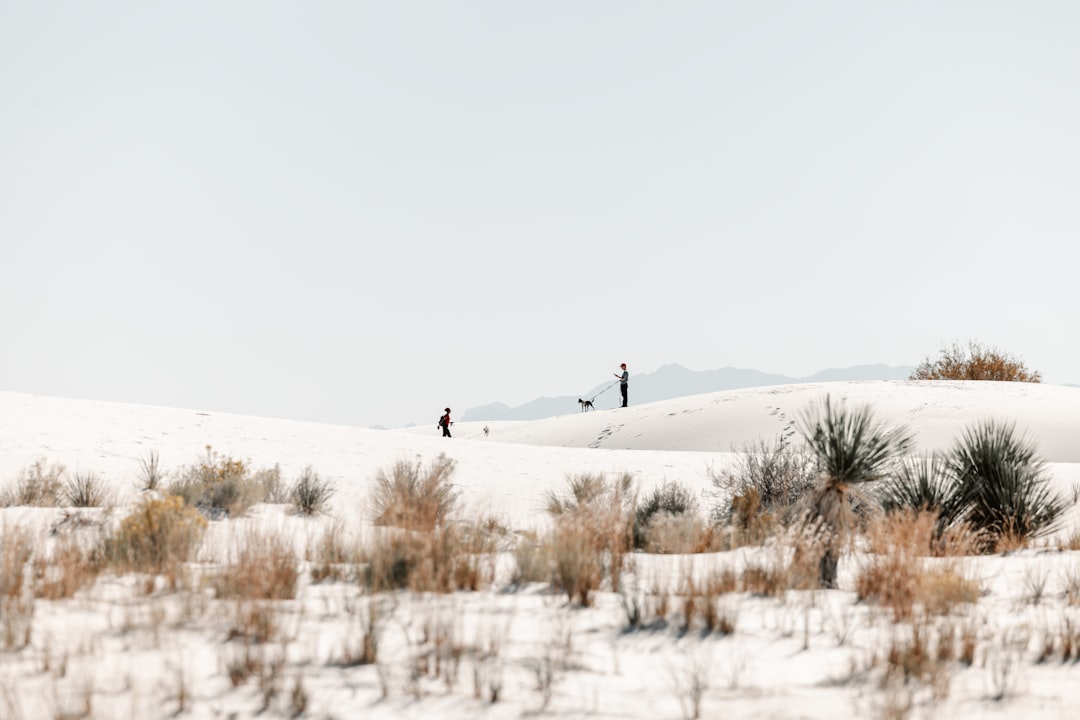 Passport Guide for Hachita NM: Facilities, Steps & Tips