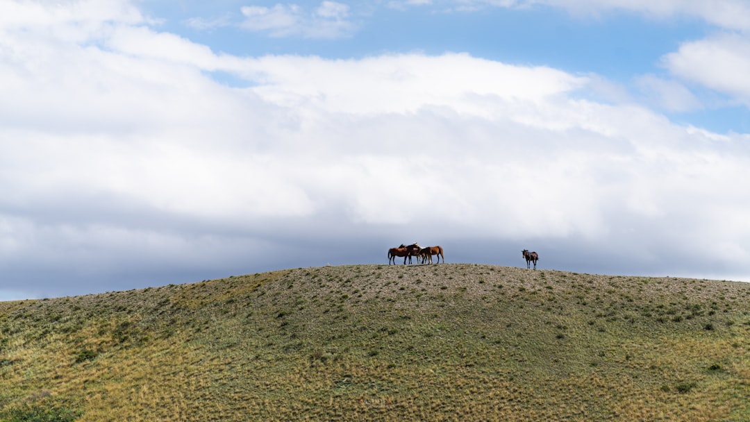 Passport Guide for Hot Springs MT: Forms, Facilities, Tips