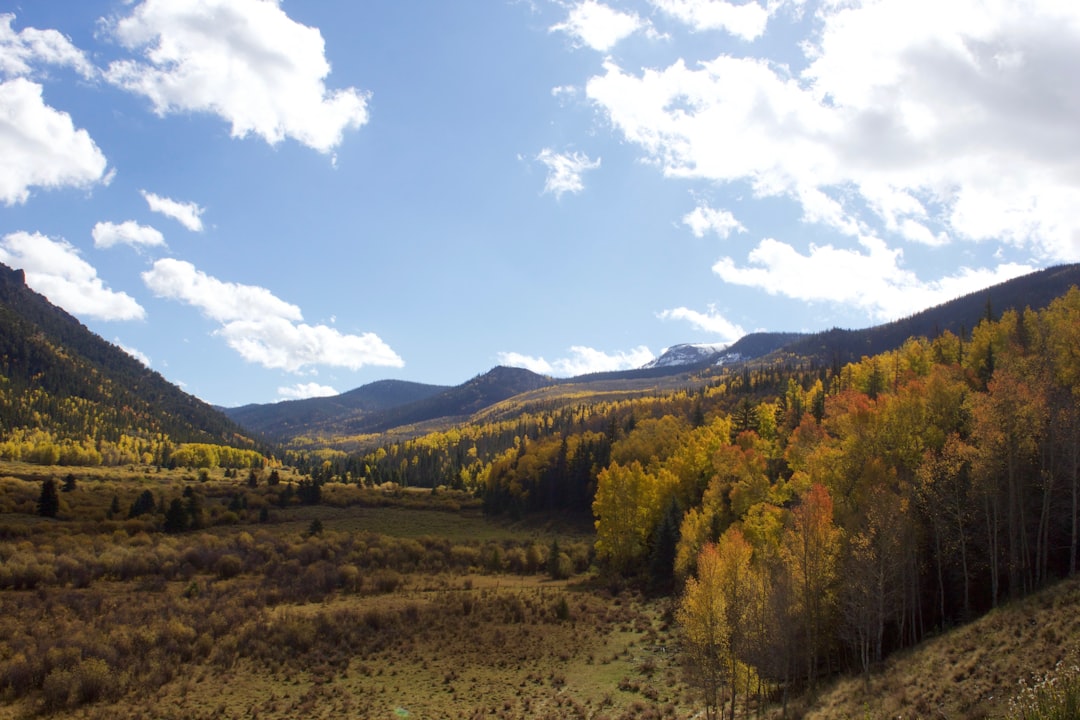 Passport Guide for Johnson Village, CO: Steps & Facilities