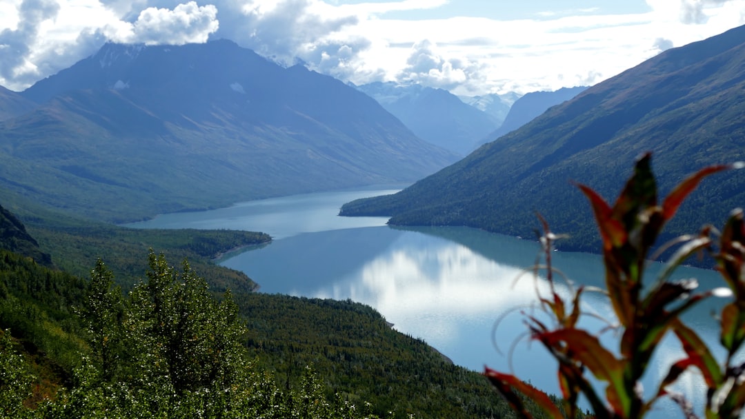 Passport Guide for Kaltag, AK: Apply, Renew, Replace