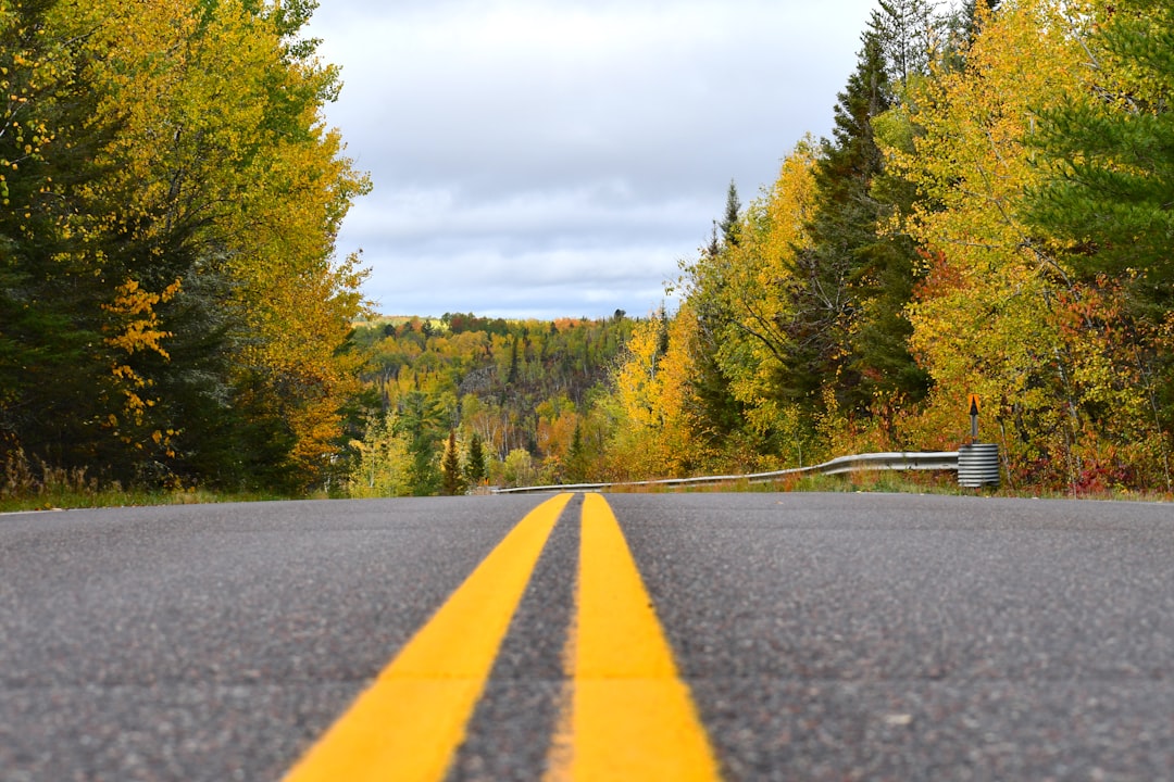 Passport Guide for Kelliher, MN: Facilities & Steps in Beltrami