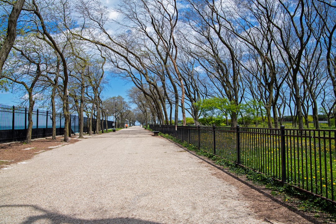 Passport Guide for Kingston IL: First-Time, Renewals, Facilities