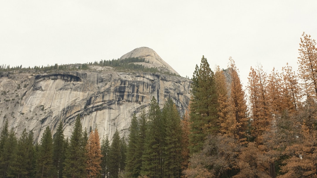 Passport Guide for Lake Isabella CA: Steps & Facilities