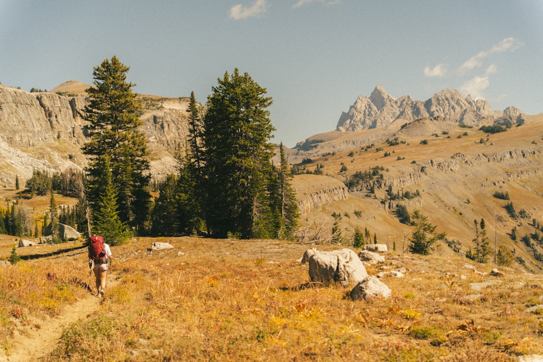 Passport Guide for Lakeview North, WY: Steps & Facilities