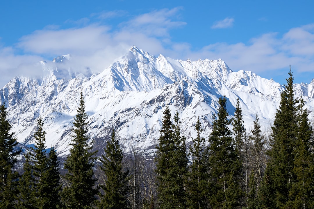 Passport Guide for Larsen Bay, AK: Kodiak Facilities & Steps