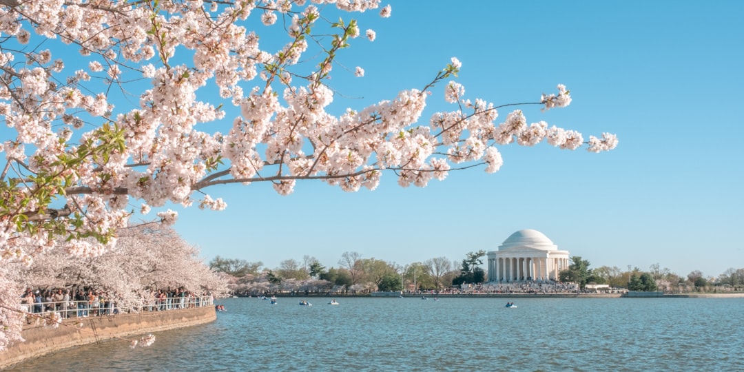 Passport Guide for Lebam, WA: Facilities, Forms & Steps