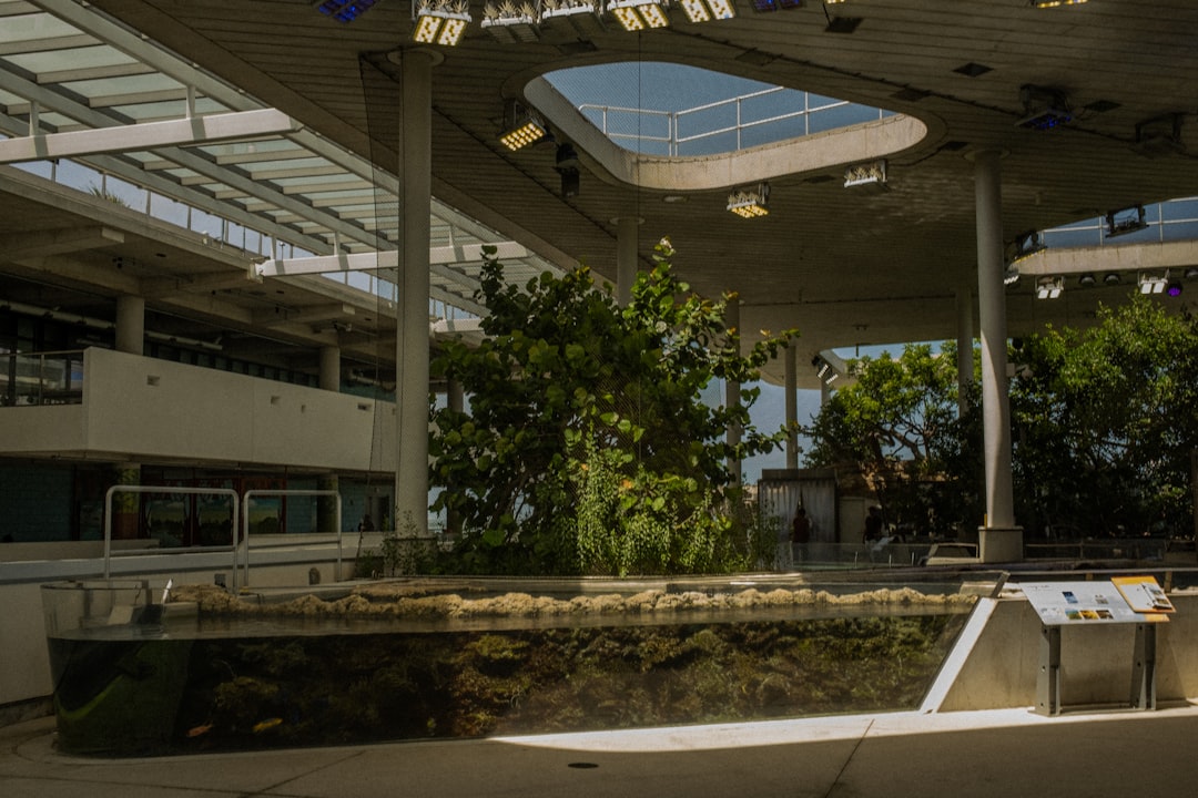 Passport Guide for Mango, FL: Apply, Renew, Replace Locally