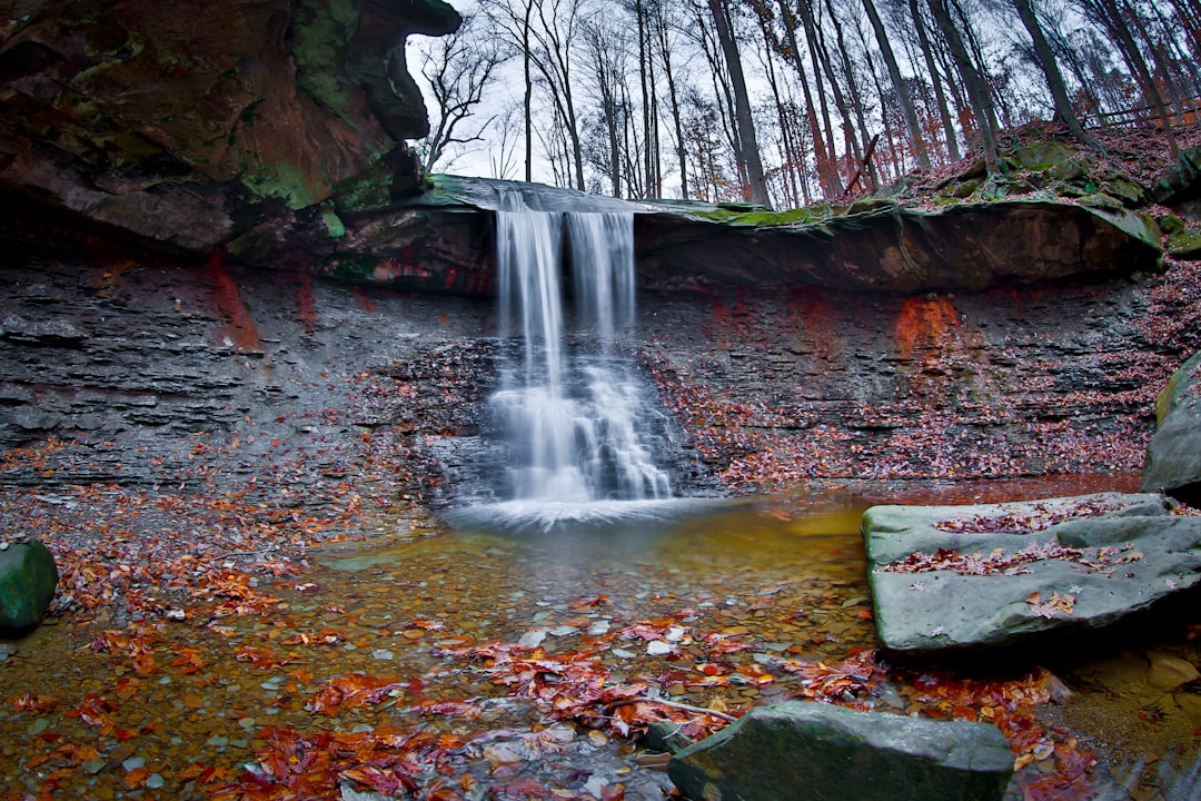 Passport Guide for Maple Ridge, OH: Steps, Facilities, Tips