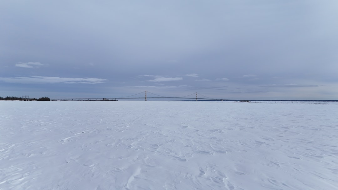 Passport Guide for Martin, MI: Forms, Local Facilities & Steps