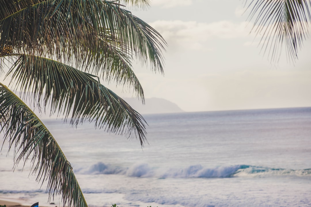 Passport Guide for Maunaloa, HI: Steps, Facilities & Tips