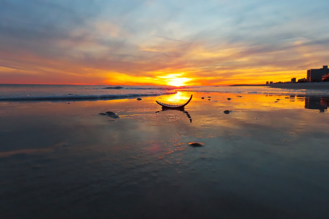 Passport Guide for McDonald Chapel, AL: Facilities & Steps