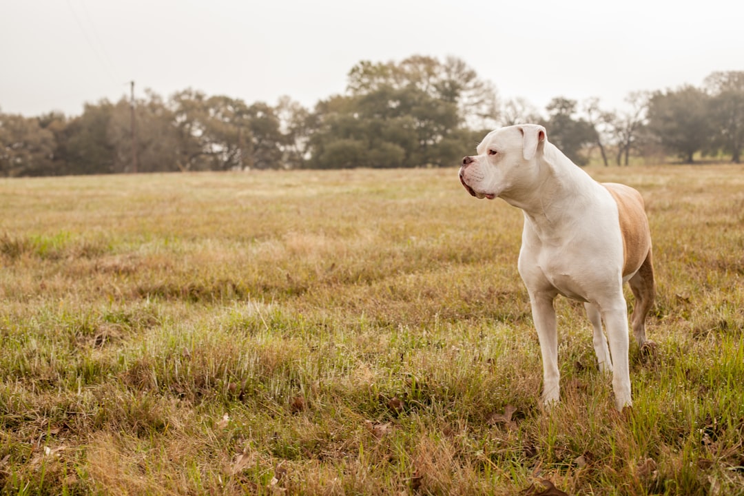Passport Guide for Mildred, TX: Steps, Facilities & Tips