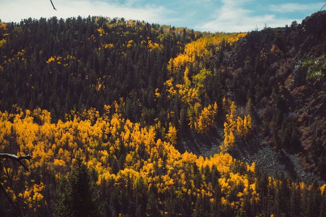 Passport Guide for Montezuma, CO: Summit County Steps