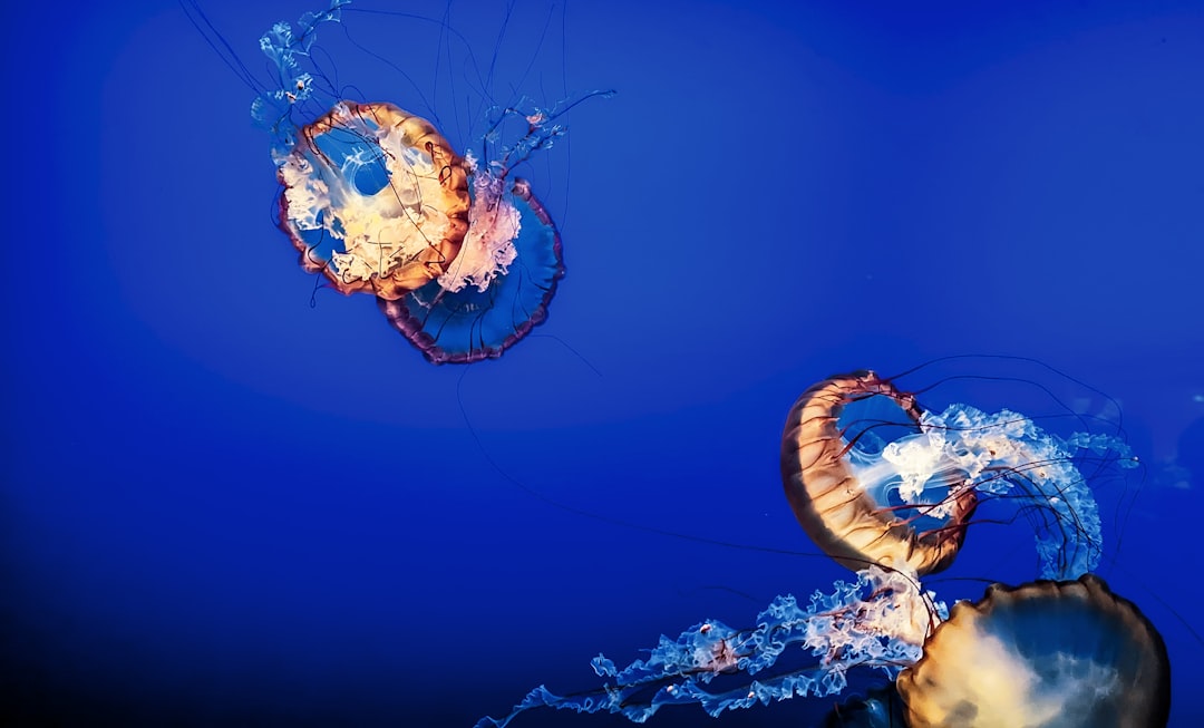 Passport Guide for Moorefield NE: Checklists & Facilities