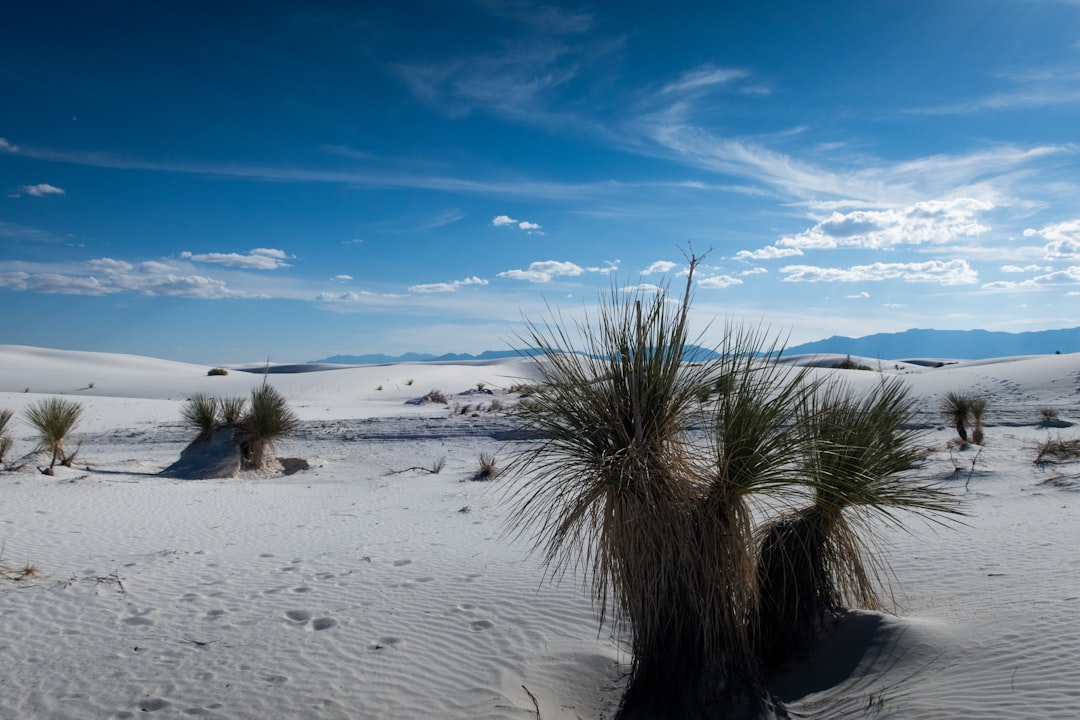 Passport Guide for Morningside NM: Applications & Renewals