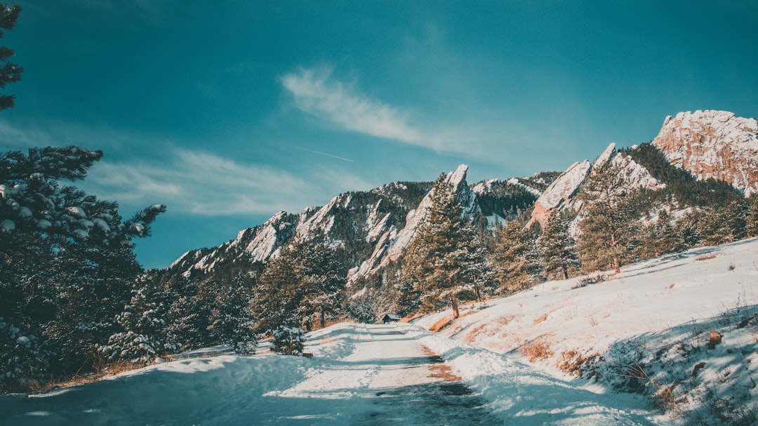 Passport Guide for Morrison, CO: Facilities, Fees & Tips