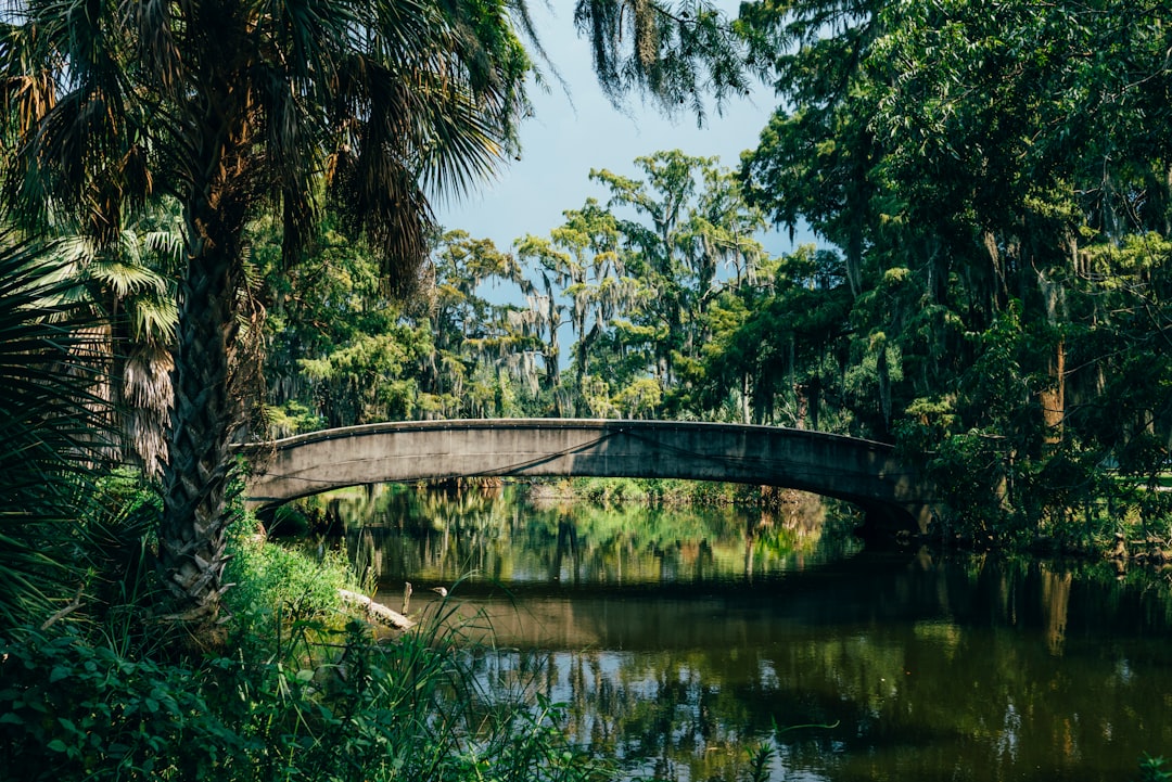 Passport Guide for Mound, LA: Facilities, Checklists & Steps