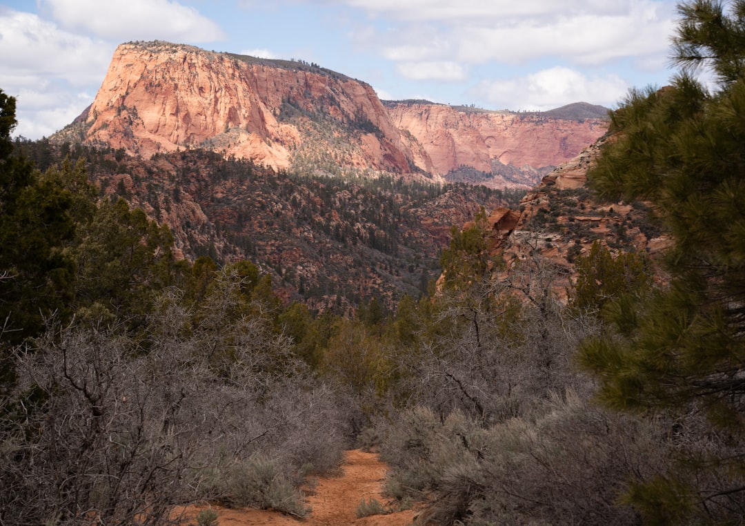 Passport Guide for Mountain Green, UT: Steps, Facilities, Fees