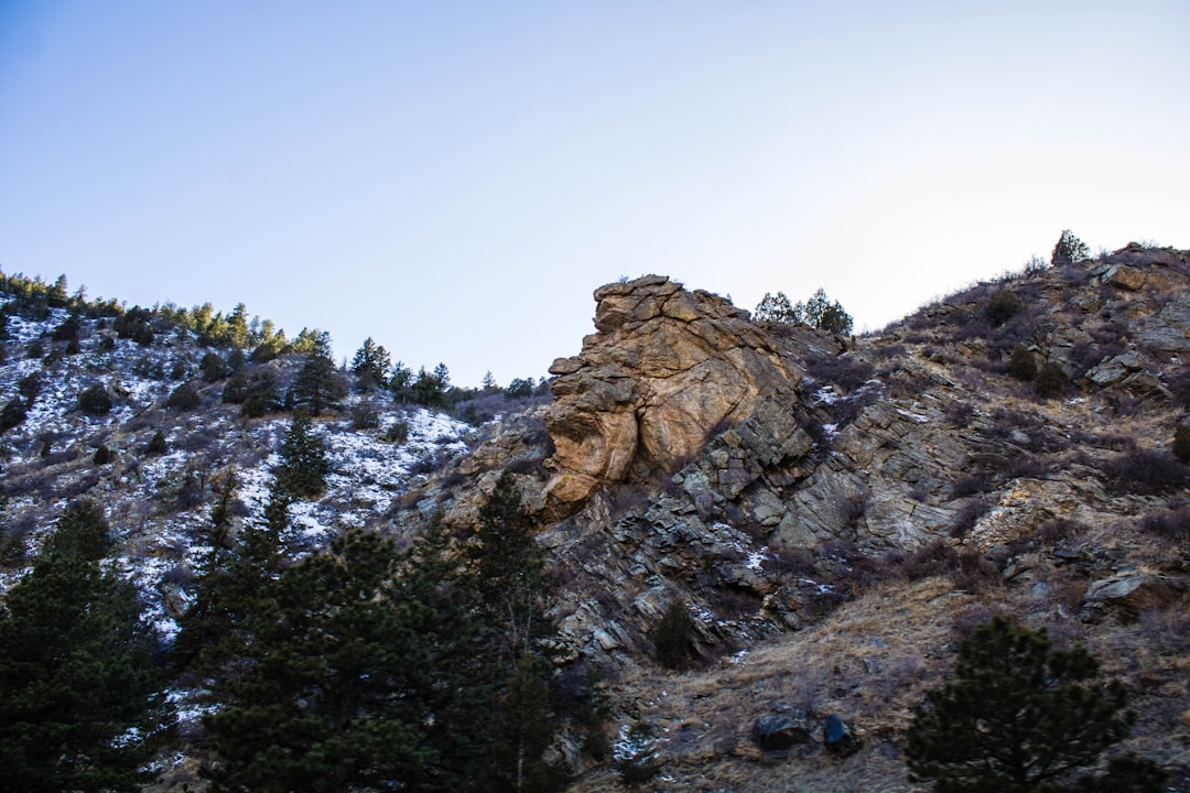 Passport Guide for Murtaugh, ID: Steps, Facilities, Renewals