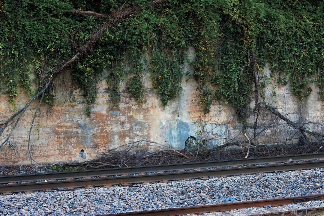 Passport Guide for New River, VA: Pulaski Facilities & Steps