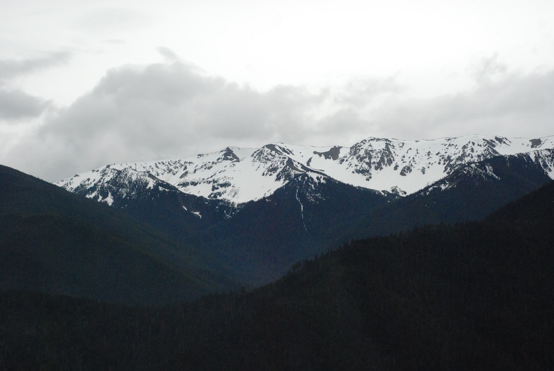 Passport Guide for Oakesdale WA: Colfax & Pullman Steps