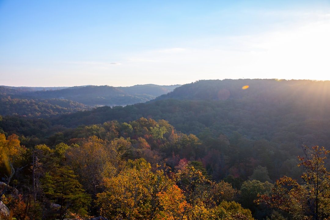 Passport Guide for Old Brownsboro Place, KY Residents