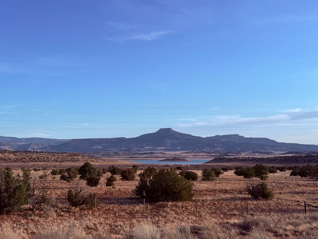 Passport Guide for Organ NM: Steps Facilities Tips