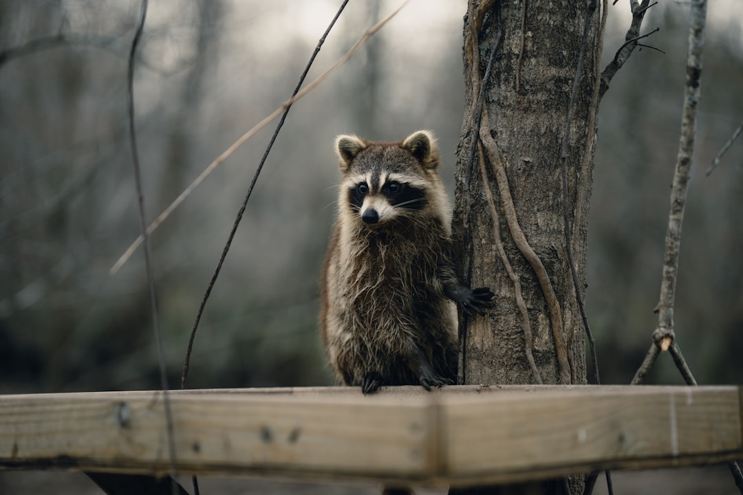 Passport Guide for Parks LA: Facilities, Checklists & Local Tips