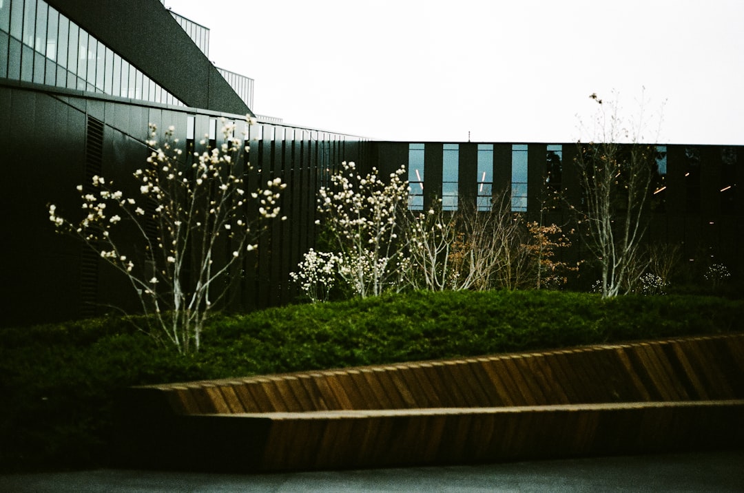 Passport Guide for Prairie City, OR: Application & Renewal Steps