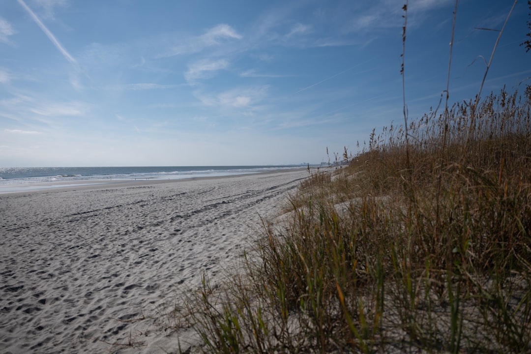 Passport Guide for Raemon, NC: Local Post Offices & Steps