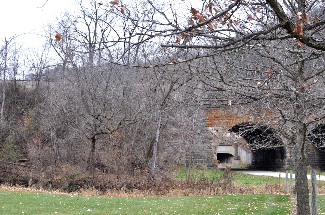 Passport Guide for Redby, MN: Steps, Facilities & Pitfalls