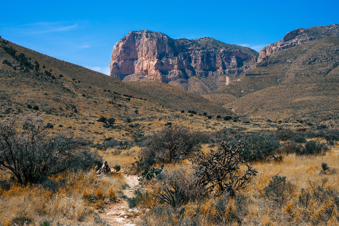Passport Guide for Round Mountain, TX: Apply, Renew, Replace