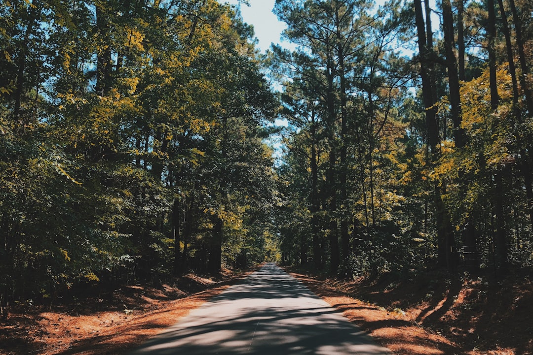 Passport Guide for Round Top TX: Steps & Nearby Facilities