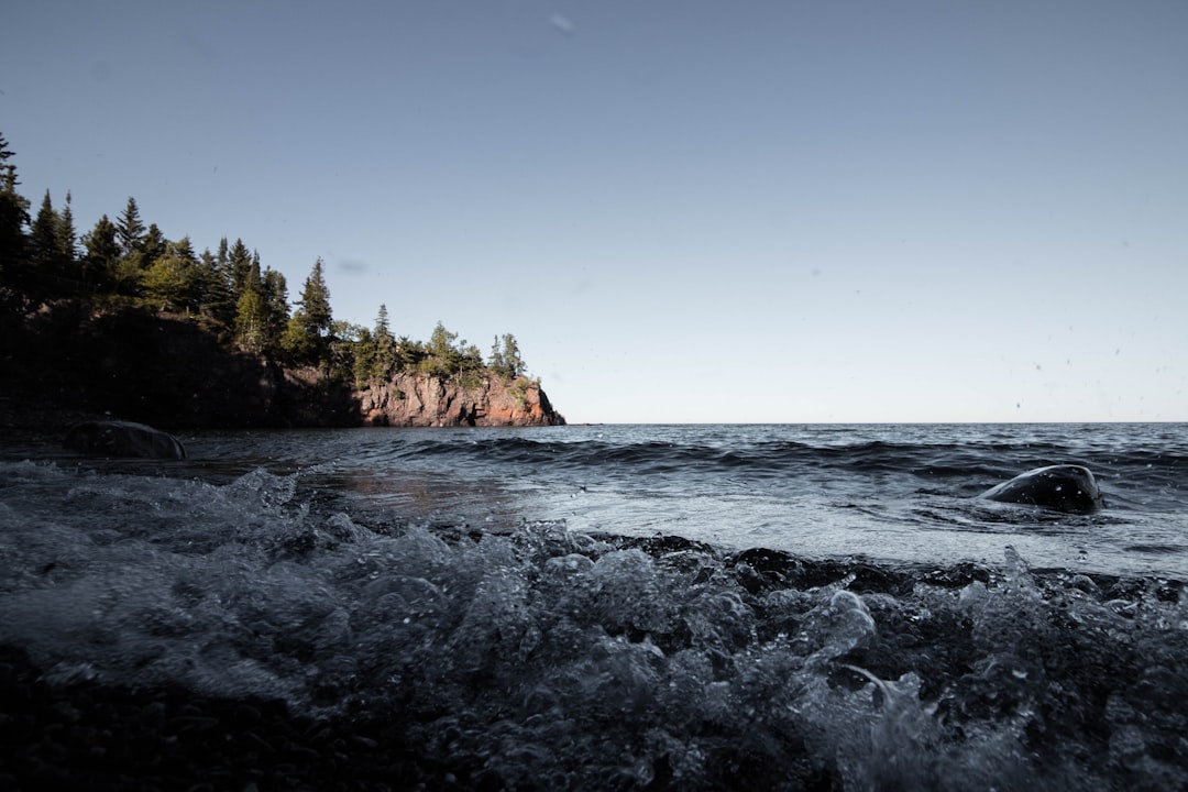 Passport Guide for Roy Lake, MN: Steps, Facilities & Fees