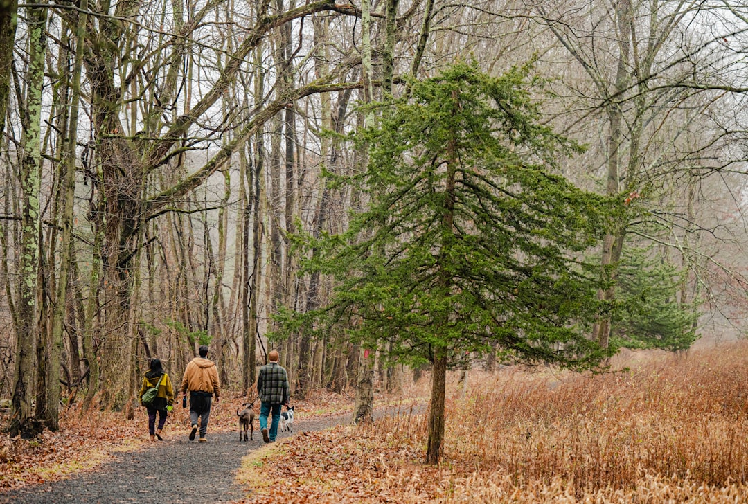 Passport Guide for Salmon Brook, CT: Forms, Facilities, Checklists