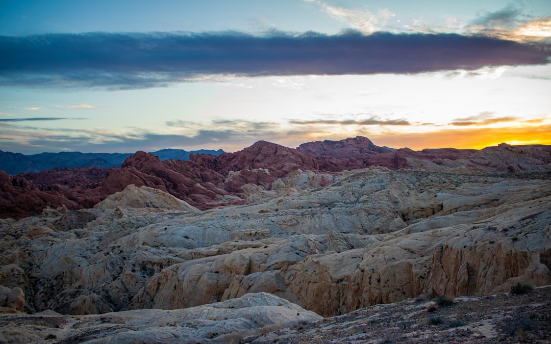 Passport Guide for Schurz NV: Local Facilities, Forms, Steps