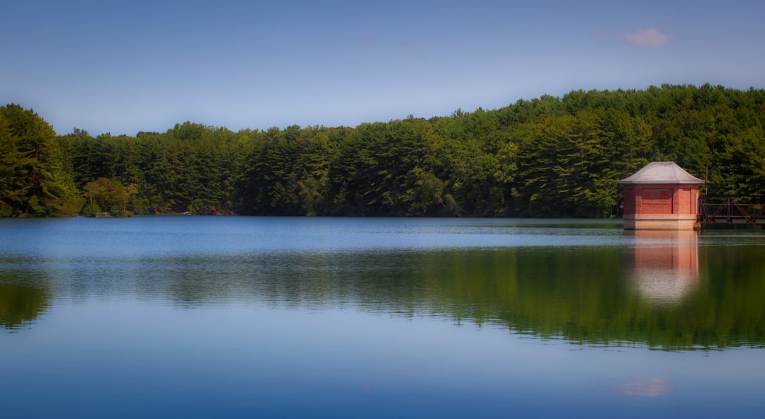 Passport Guide for Sherman, CT: Steps, Facilities & Renewals