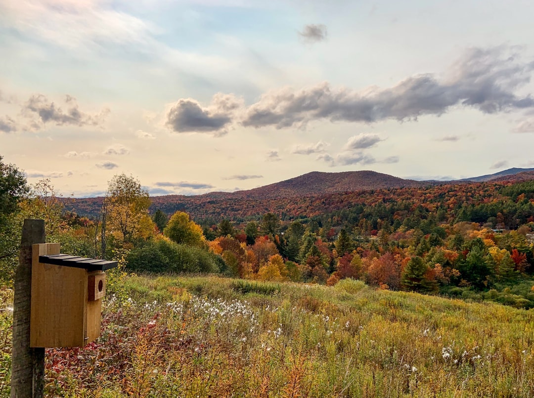 Passport Guide for South Shaftsbury, VT: Applications, Renewals & Facilities