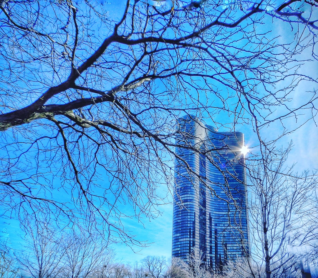 Passport Guide for St. David IL: Apply, Renew, Facilities Nearby