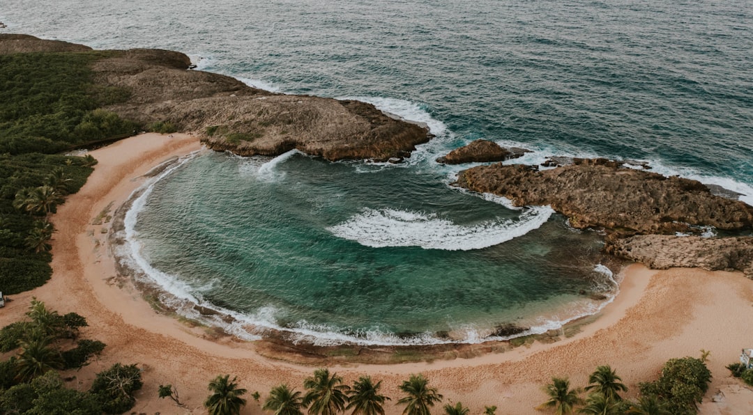 Passport Guide for Tiburones PR: Steps, Facilities, Local Tips