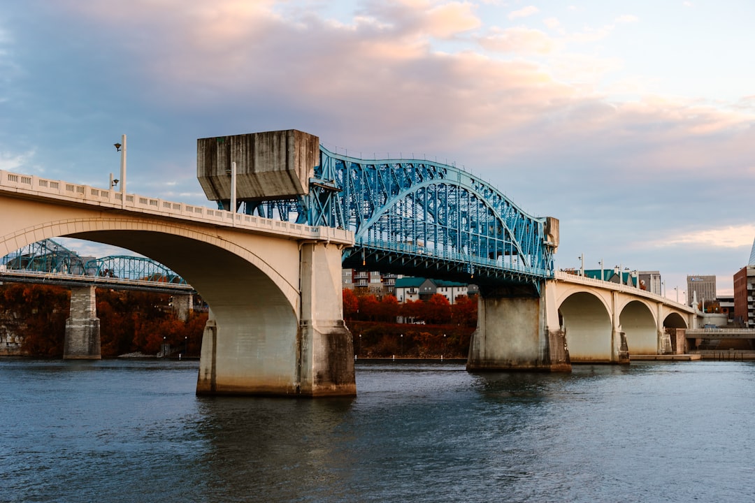 Passport Guide for Vanleer, TN: Steps, Facilities, Renewals