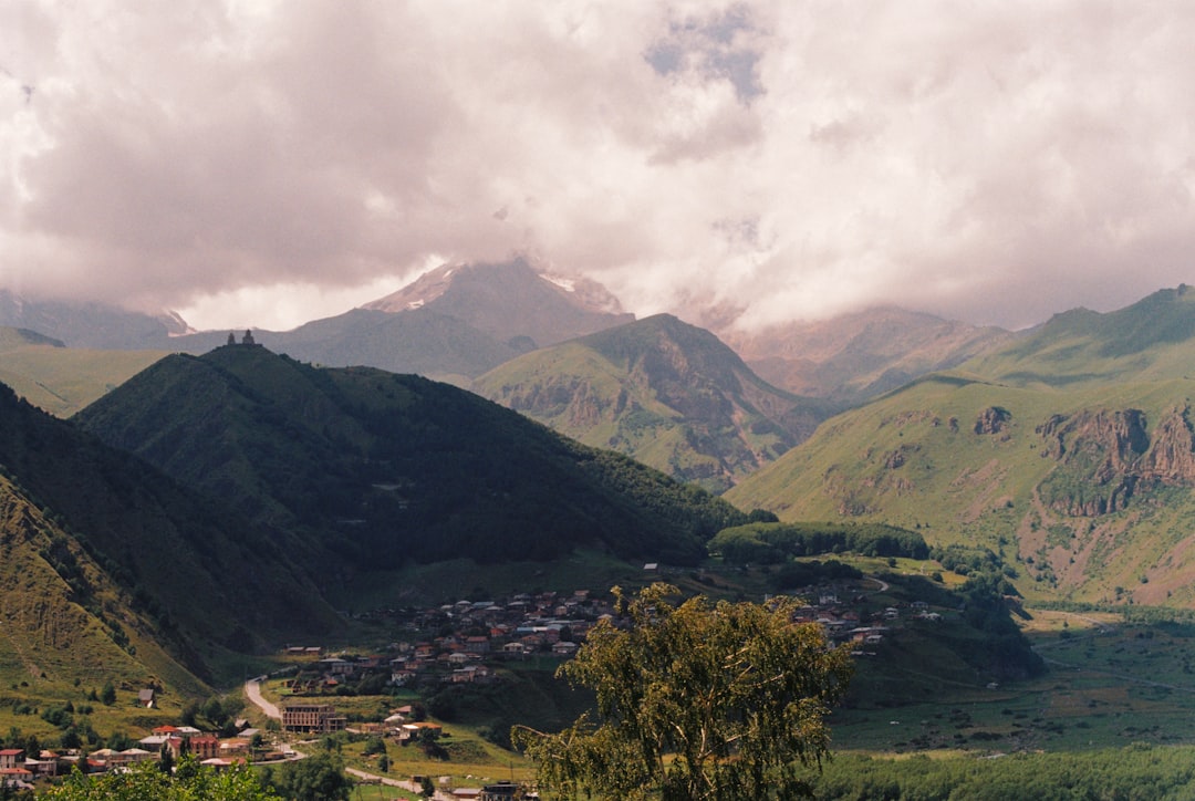 Passport Guide for Vienna, GA: Apply, Renew, Replace