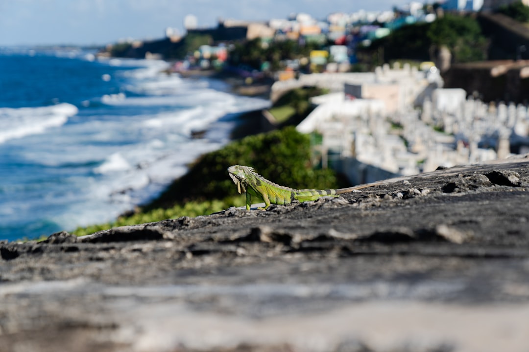 Passport Guide for Villa Quintero, PR: Steps, Facilities, Docs