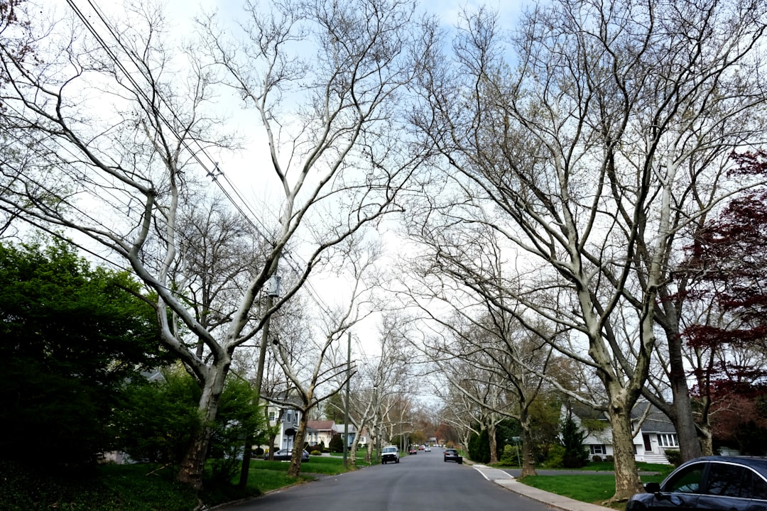 Passport Guide for Vista Center, NJ: Steps, Facilities & Tips