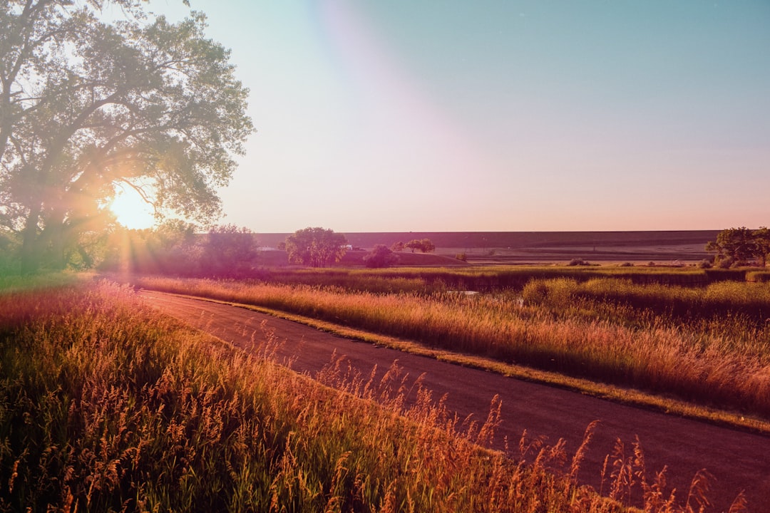 Passport Guide for Volin SD: Forms, Facilities, Fees & Tips