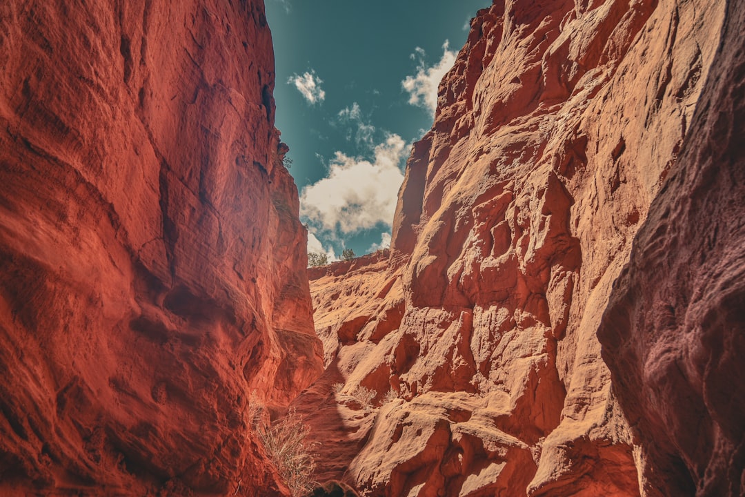 Passport Guide for Wagon Mound NM: Facilities & Steps