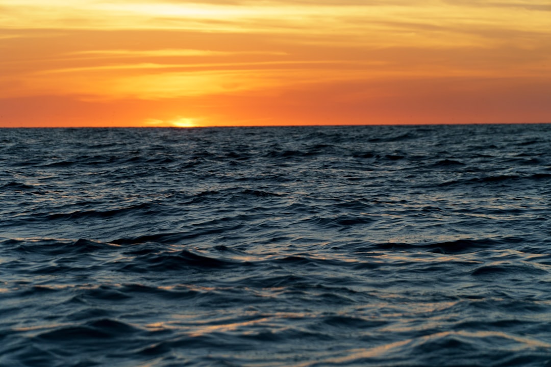 Passport Guide for Wallace, FL: Steps, Local Facilities & Pitfalls