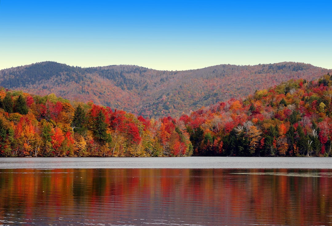Passport Guide for Websterville VT: Forms, Fees, Barre Facilities