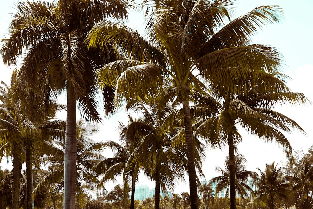 Passport Guide for West Canaveral Groves, FL: Facilities & Steps